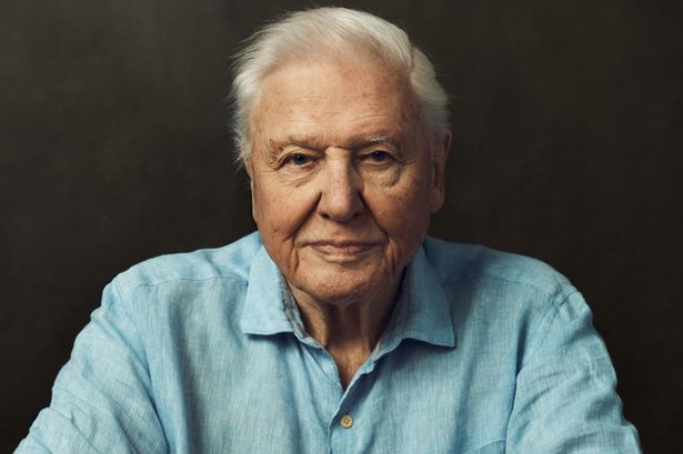 Sir David Attenborough
